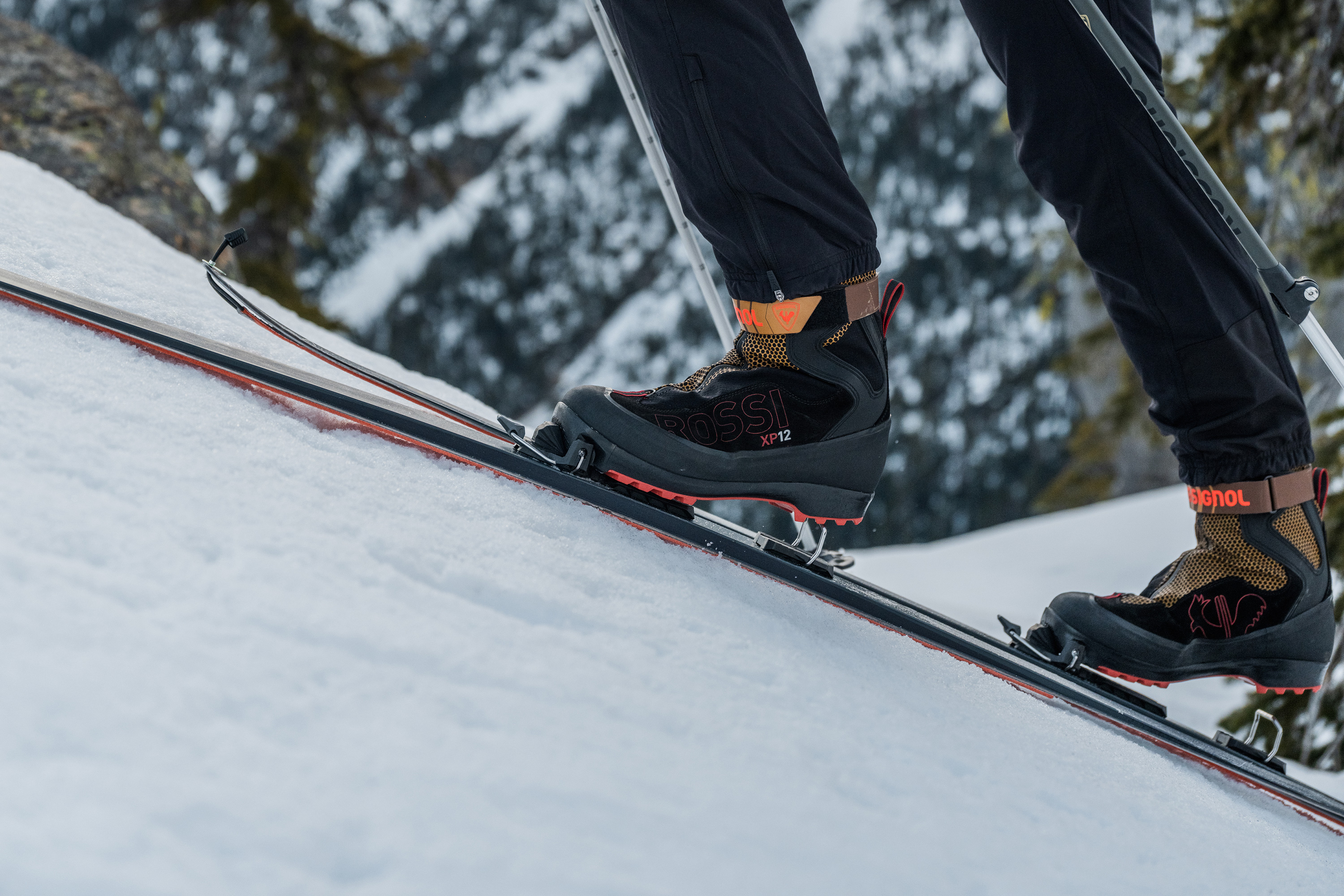 Comment choisir vos skis de randonnée nordique ? Comment choisir vos skis de randonnée nordique ?