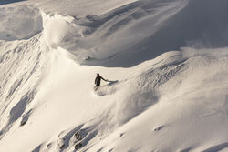 Snowboard 100% Poudre