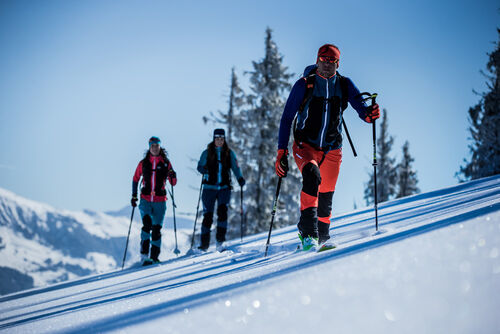 Ski de randonn&eacute;e